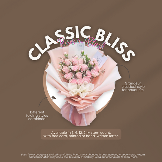 Rose in Classic Bliss